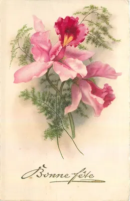 Orquídea rosa — composição floral — editor desconhecido, n°8269