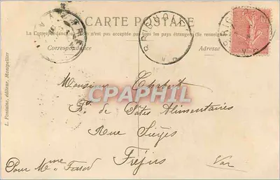 Flores de margaridas — L. Fontaine, Montpellier — número de série não visível — Verso