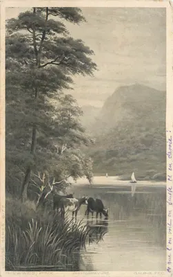 Vacas bebendo em um lago — G.M.R.-B. FEC. — R. LAWES, PINX. — Série de Defesa 6177