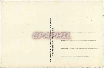 Flores de cerejeira — carta de boas-vindas — ARS 7927 — Verso