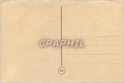 Narcisos — Sinceras Felicitações e Desejos de Felicidade — Carta postal — Verso