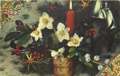 Natal — decoração de Natal com vela e hortência — N° 2/8.020