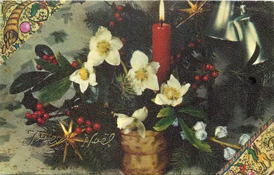Natal — decoração de Natal com flores brancas, bola de Natal e vela — n°2/8.020