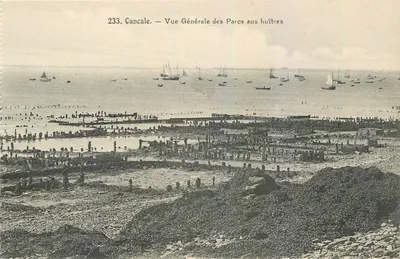 Cancale — Vista Geral dos Parques de Ostras — Editor: L. Cotteau, França