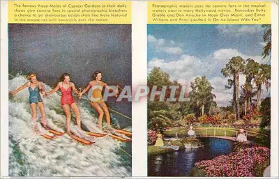 Cypress Gardens — Aqua-Maids e Singing Tower — editor não visível — Verso