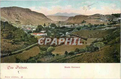Las Palmas — Monte Barranco — Bazur aleman, 31