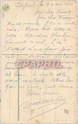 Bukiet krokusów w koszyku — życzenia świąteczne — wydawca nieznany — Rewers