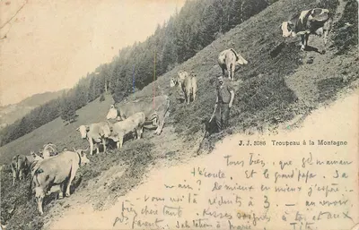 Rebanho na Montanha — J.J. 3088 — Julien frères, Genebra