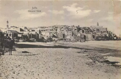 Jaffa — Vue Générale — Union Postale Universelle, Égypte, n° 1818