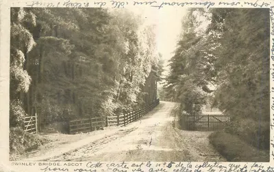 Swinley Bridge, Ascot — vista de um caminho cercado por árvores — editor 'The Seal of Artistic Card'