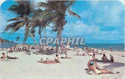 Crandon Park Beach — Instalação do parque do Condado de Dade — Pub. por Ray Wendt, West Palm Beach, Fla. n° 51377