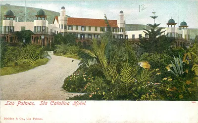 Las Palmas. Hotel Sta Catalina. — Dialdas & Co., Las Palmas. — N° 78917