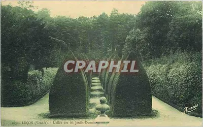 Lugon (Vendée) — A Avenida dos Ifs Jardim Dumaine — Mozais