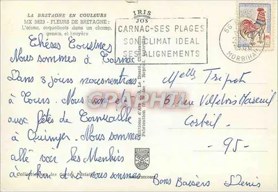 Flores da Bretanha — Carnac, Morbihan — Editor IRIS JOS — Verso