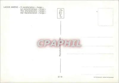 Lacco Ameno — Charakterystyczny «fungo» — Riproduzione SI 19 — Rewers