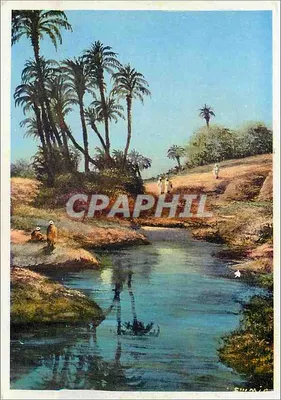 Crepúsculo na palmeraia — Marrakech — Éditions Mars