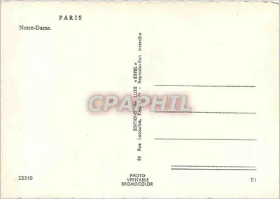 Notre-Dame w Paryżu — widok fasady — Estel — Rewers