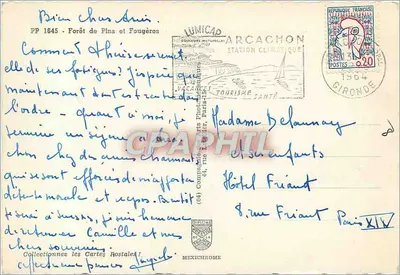 Floresta de Pinheiros e Fungos — Editor IRIS, série PP 1645 — Verso