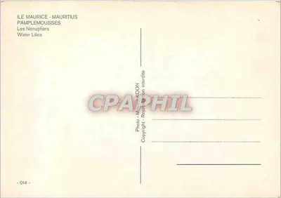 Pamplemousses - Os Nénupharas — Foto - Maxime KOON - n°014 — Verso