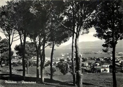Messina - Panorama — vista dos pinheiros — editor Ed. Basconà, Milão