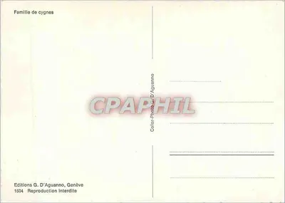 Família de cisnes — Genebra — Éditions G. D'Aguanno, n°1504 — Verso