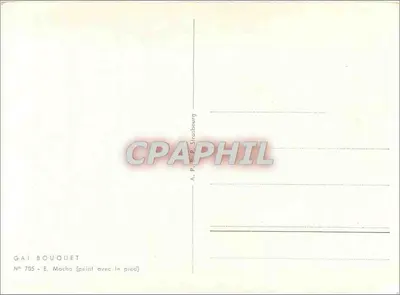 Bukiet kwiatów — scena stołowa — Erich Macho, n° 705 — Rewers