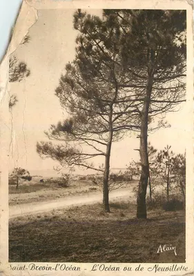 Saint-Brevin-l'Océan - O Oceano ou de Neuvoillette — Alain