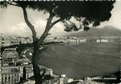 Nápoles - Panorama — vista a partir de uma árvore — Ed. M. Spinelli, n° 37