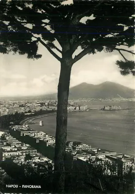 Nápoli - Panorama — vista desde uma árvore — Ed. M. Spinalli, n°27