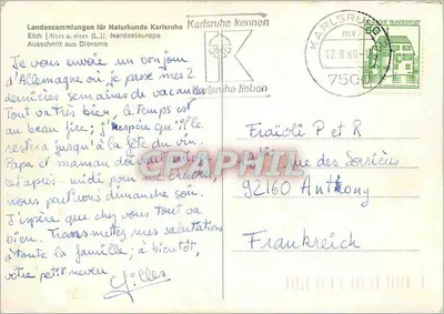 Alce (Alces alces) — Nordeste da Europa — Landesammlungen für Naturkunde Karlsruhe — Verso