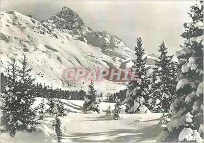 Paisagem nevada das Alpes — Courchevel — n° 2099