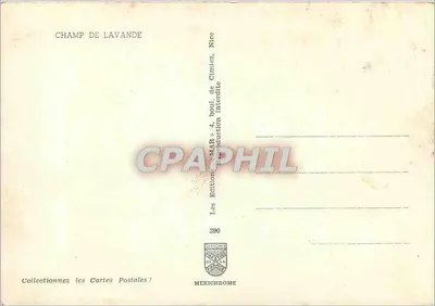 Campo de lavanda — Editor IRIS, n° 390 — Verso