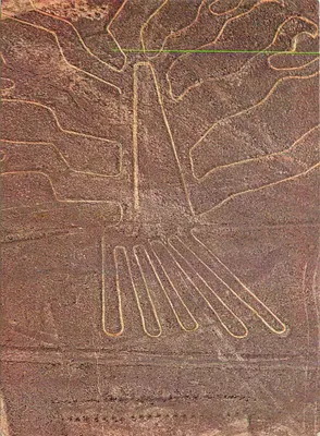 Geoglifos de Nazca — Ave (a 'Araña') — Editorial Pacoracamac, Lima, Perú