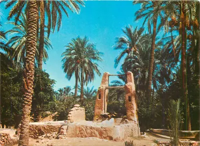 Palmier e fonte — Deserto — Editor SAHARA L'ORANGE