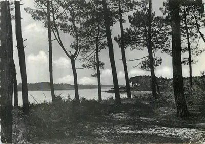 Capbreton — Sous-Bois et le Lac — Éd. Casserlon