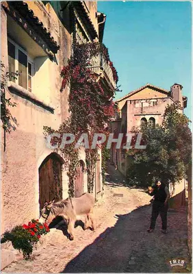 Saint-Paul-de-Vence — Rue antiga — Éditions Diplomé