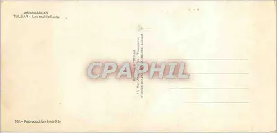 Madagaskar - Tulear - Multiplikatory — wydawca Diapro Kodak, nr 202 — Rewers