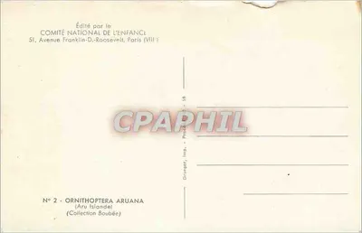 Papagaio verde — edição do Comité National de l'Enfance — N° 2 Ornithoptera Aruana — Verso