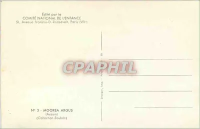 Moth — Assam — Editado pelo COMITÉ NATIONAL DE L'ENFANCE, Paris — Verso