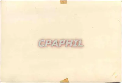 Kustlandschap — sparren aan de waterkant — Achterkant