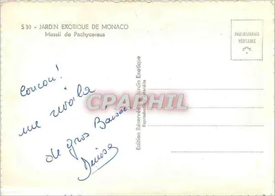 Jardim Exótico de Mônaco — Massif de Pachycereus — Edição Reservada — Verso
