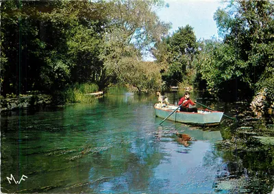Canoa em um curso d'água — Floresta densa — M.F. (editor)