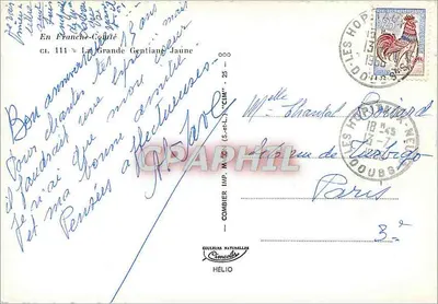 A Grande Gentiana Amarela — Em Franche-Comté — Cim — Verso