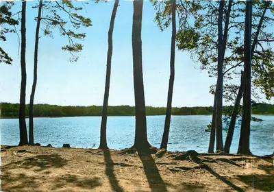 Floresta de Tronçais — Lago de Saint-Bonnet — Ed. du LYS