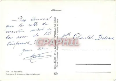 Um rebanho de ovelhas saindo da quinta — Edição TARDY — n°378 — Verso