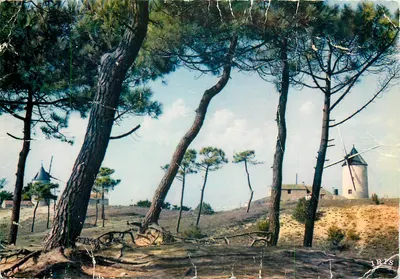 Paisagem do bocage — Vendeé — Edições Mexichrome, n° 85/117
