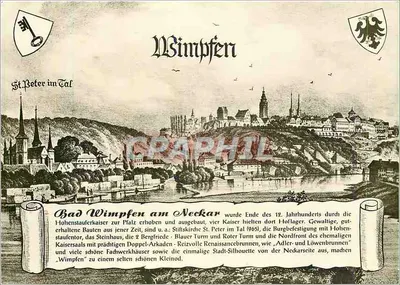 Wimpfen — vista panorâmica com editor Traut