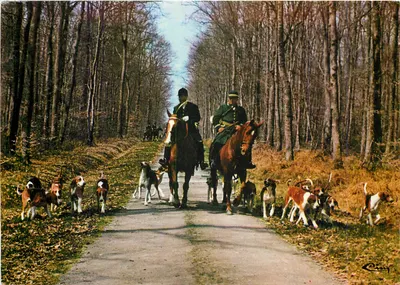 Caça à cavalo — Saída da matilha — CIMCOLOR