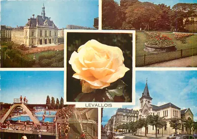 Levallois-Perret — vista panorâmica com rosa amarela — editor Images de France