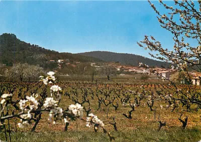 Nans-les-Pins — Vista geral — Sociedade Edições da França